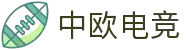中欧电竞-探索电竞的丝绸之路"